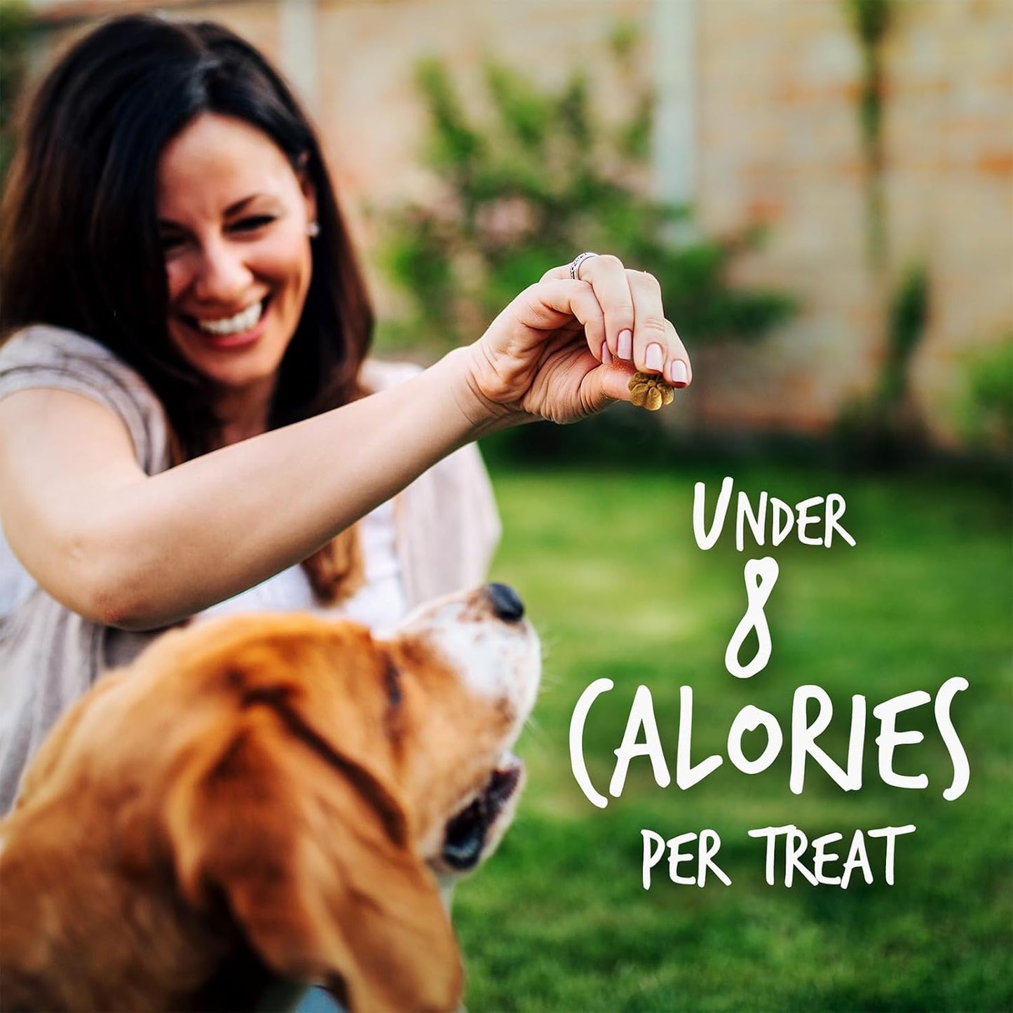 Baked Dog Treats – Healthy Low Calorie , Free of Wheat, Corn and Soy – Pumpkin and Blueberry – 12 Ounces