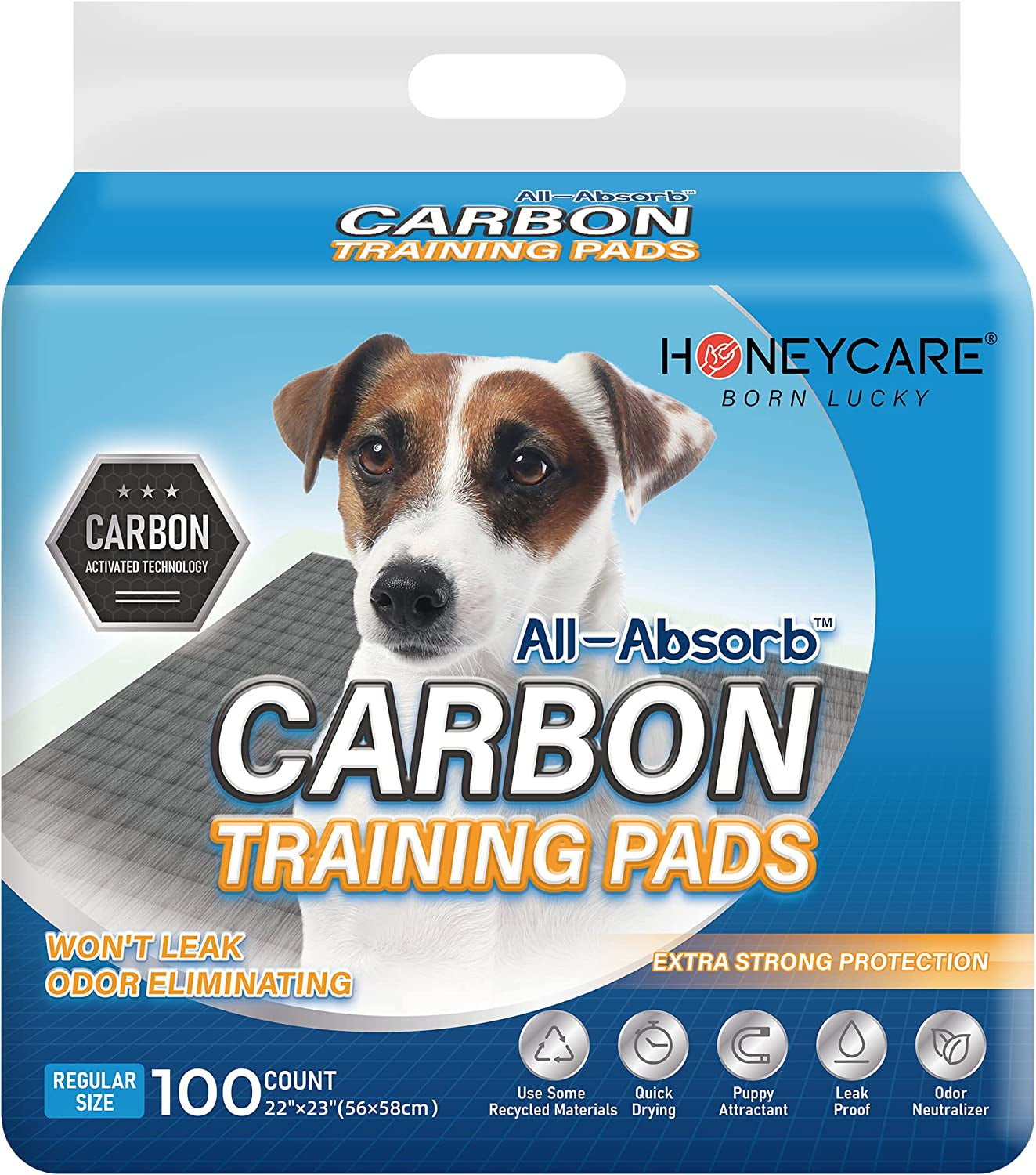 All-Absorb Puppy Training Pads | Doggie Potty Pads Absorb Eliminating Urine Odor, Ultra Charcoal Dog Pee Pad (Carbon, L 22X23 Inch, 100Ct)