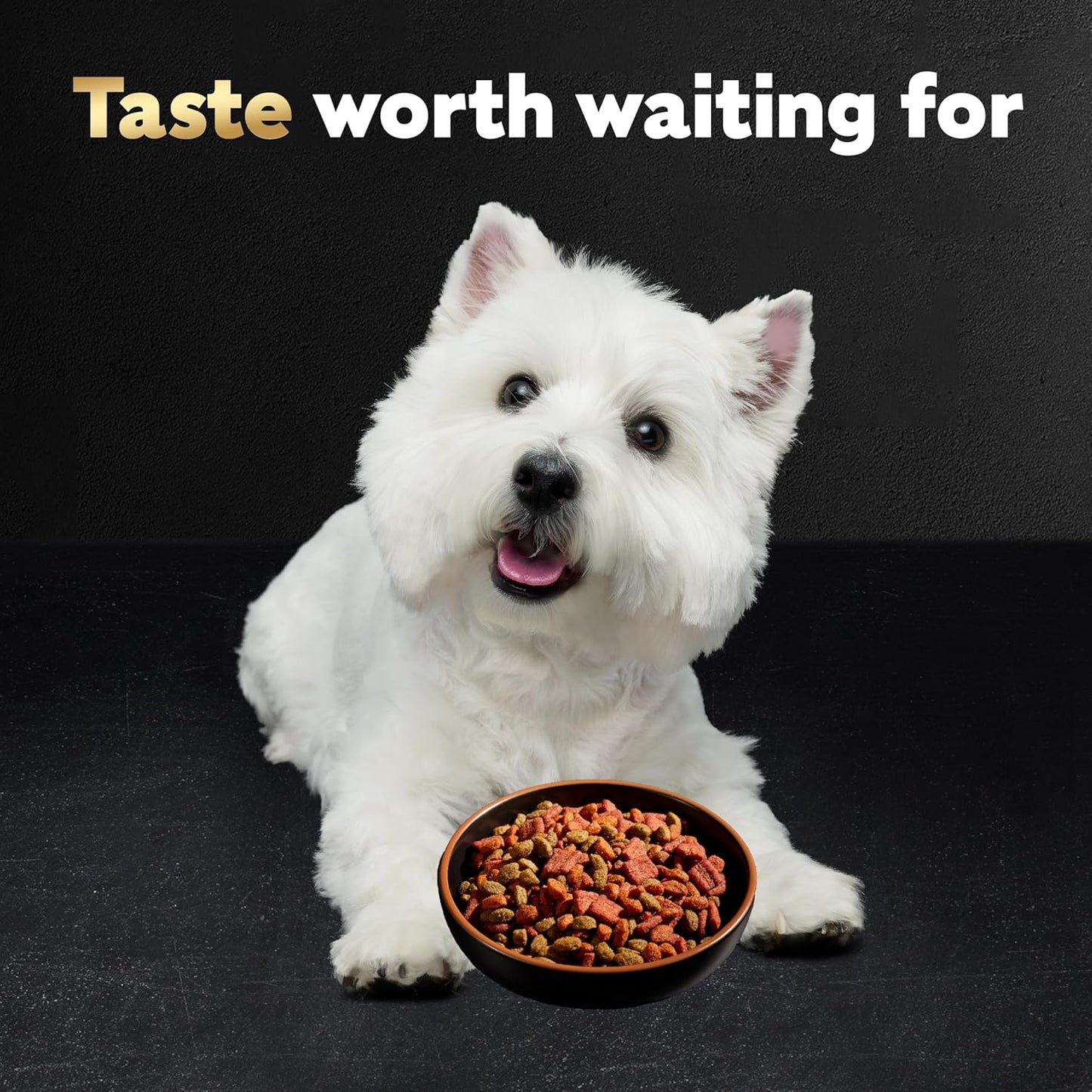 Small Breed Dry Dog Food Filet Mignon Flavor and Spring Vegetables Garnish, 12 Lb. Bag