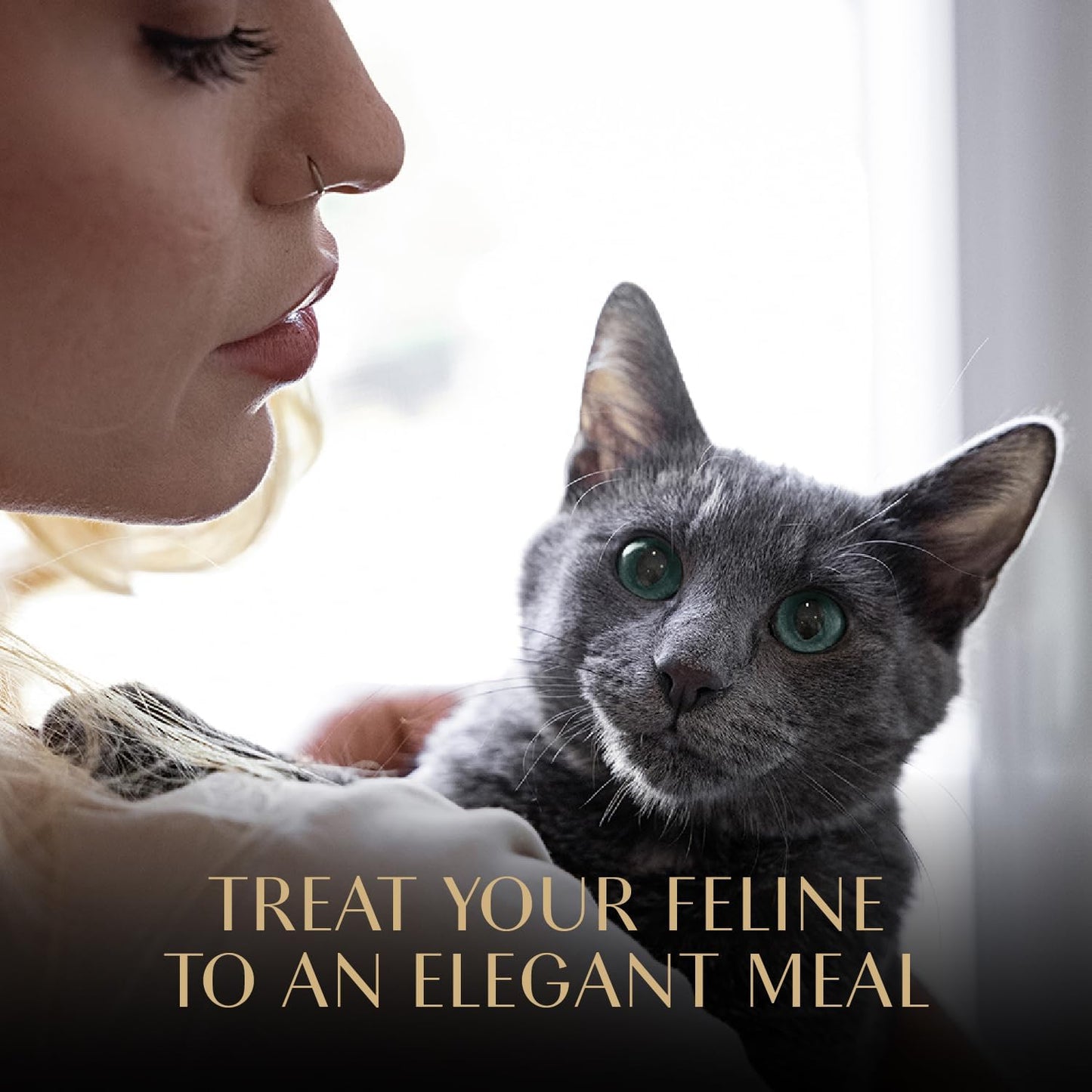 Perfect Portions Wet Cat Food Cuts in Gravy Variety Pack, with Sustainable Tuna and with Sustainable Salmon, 2.6 Oz. Twin-Pack Trays (12 Count, 24 Servings) (Pack of 2)