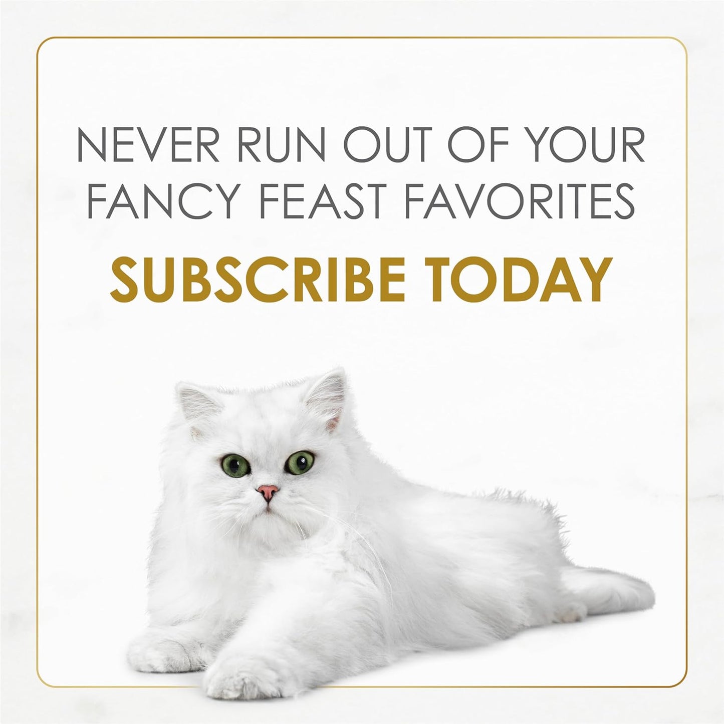 Purina Gravy Lovers Turkey Feast Grilled Gourmet Cat Food in Wet Cat Food Gravy - (Pack of 24) 3 Oz. Cans