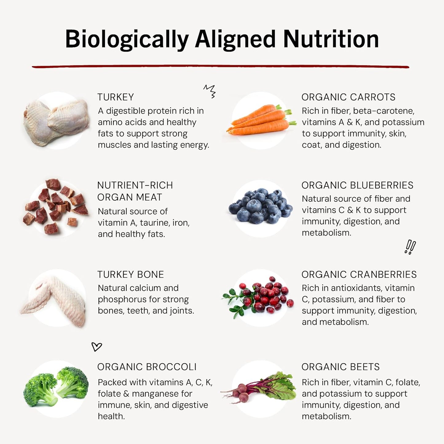 Freeze-Dried Raw Dinner Patties - Turkey Recipe - High Protein Grain-Free Puppy & Dog Food - Perfect for Picky Eaters - 14 Oz