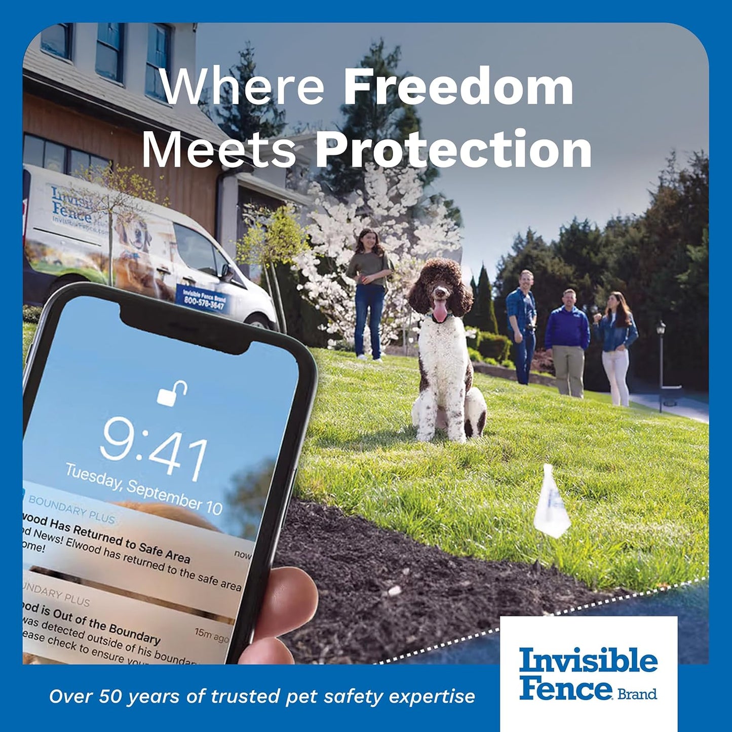 Power Cap Battery - Original IFB Electric Fence Battery Replacement for Dog Collars - Long-Lasting - 2 Pack