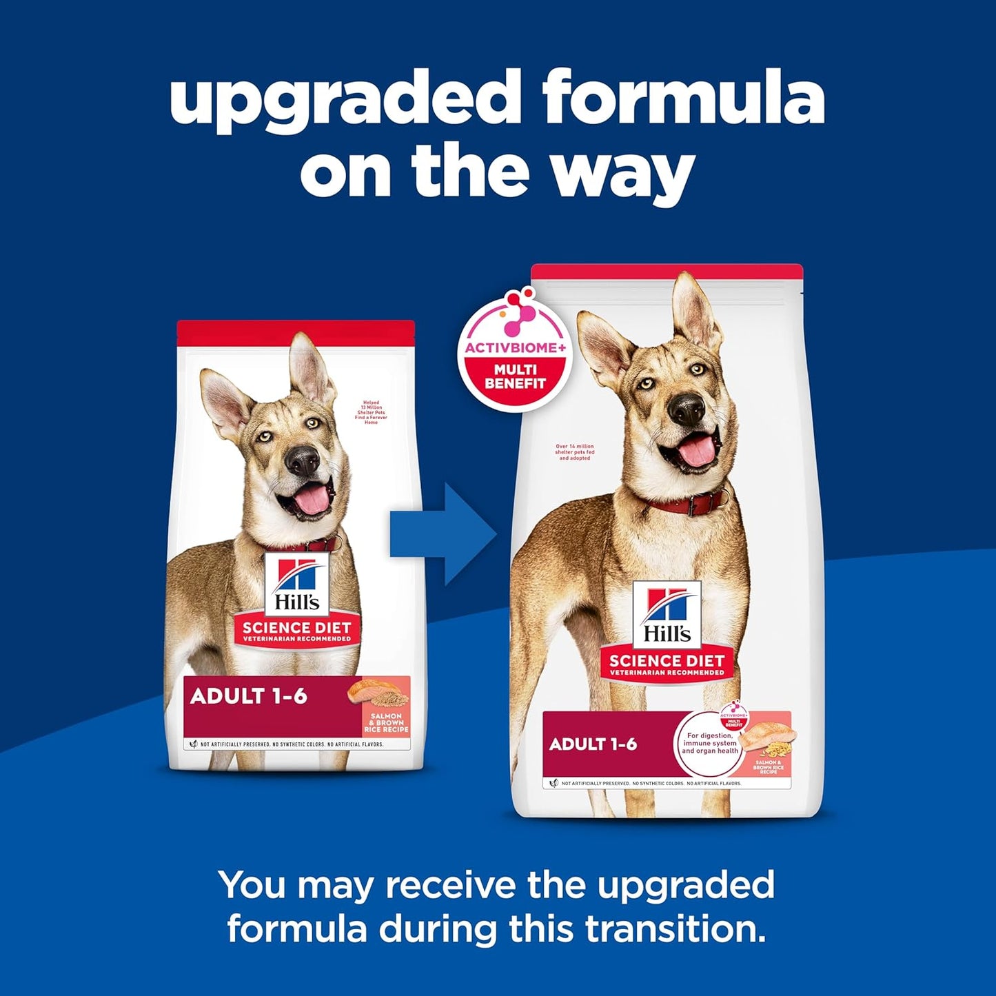 Adult 1-6, Adult 1-6 Premium Nutrition, Dry Dog Food, Salmon & Brown Rice, 14 Lb Bag