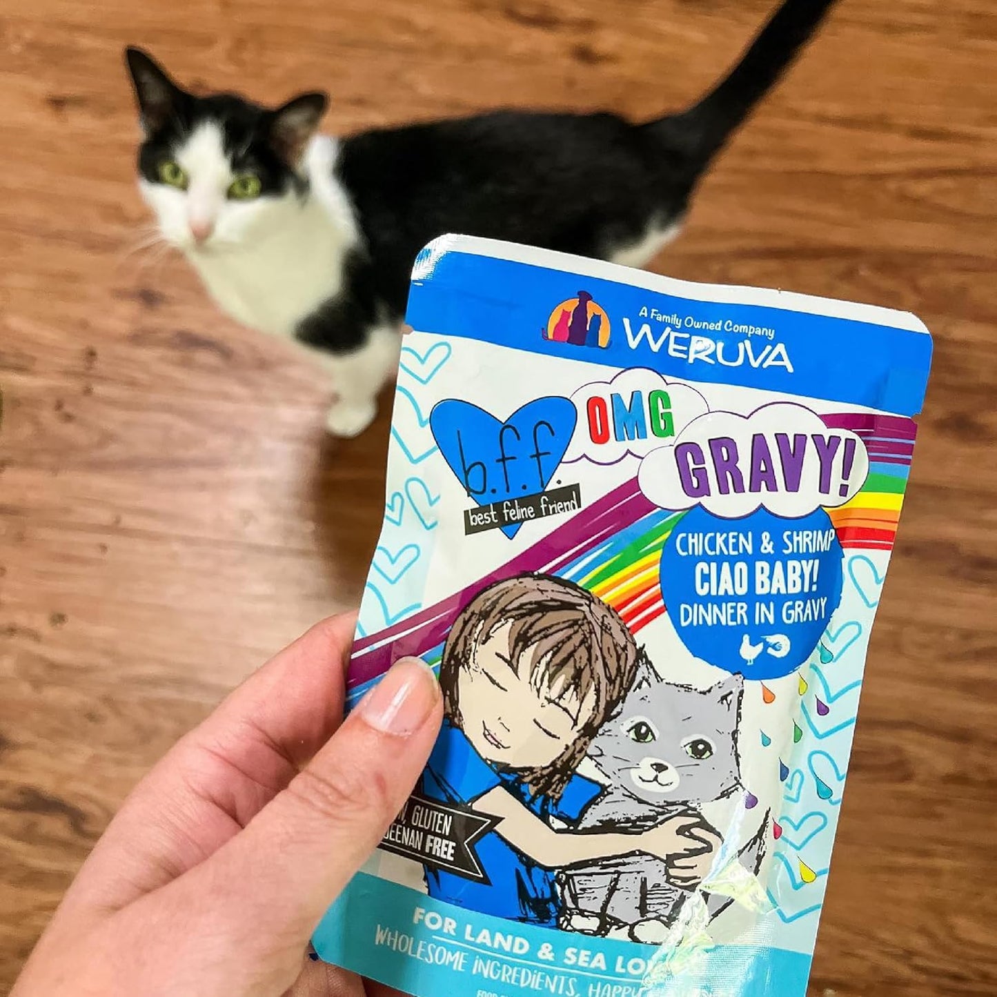 B.F.F. OMG - Best Feline Friend Oh My Gravy!, Tuna & Salmon Sweet Cheeks with Tuna & Salmon in Gravy Cat Food, 3Oz Pouch (Pack of 12)
