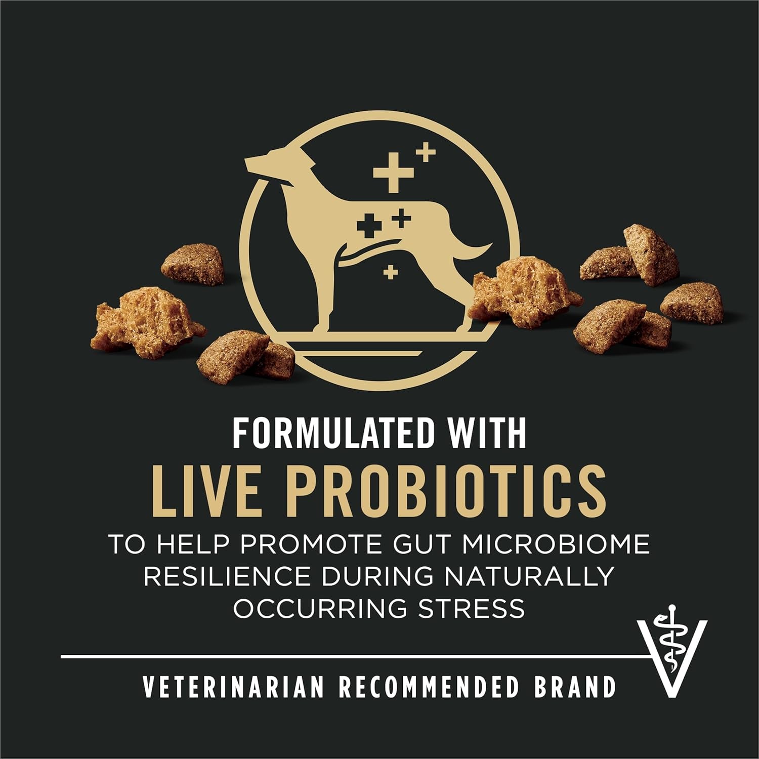 Complete Essentials Shredded Blend Beef and Rice Dog Food Dry Formula with Probiotics for Dogs - 15 Lb. Bag