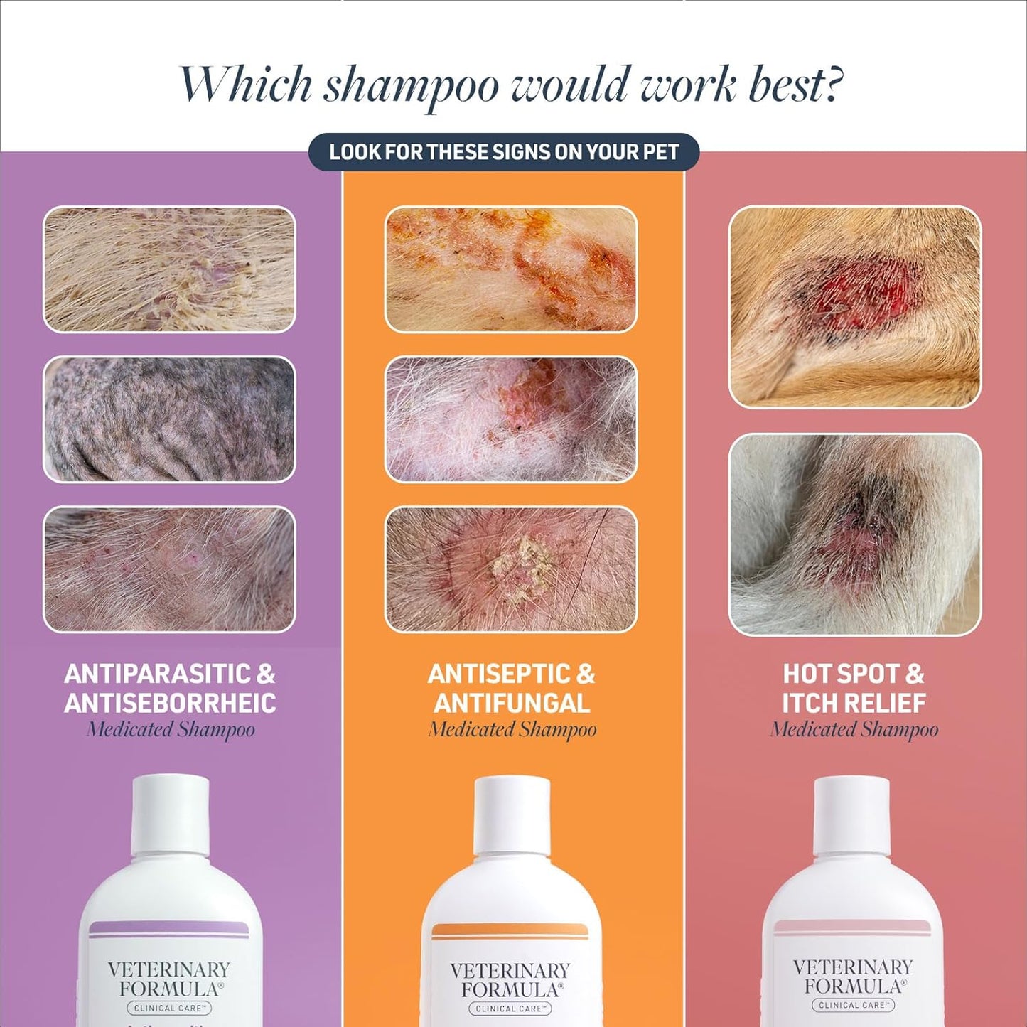 Clinical Care Antiparasitic & Antiseborrheic Medicated Dog Shampoo, 16 Oz – Paraben, Dye, Soap Free – Hydrating and Antifungal Shampoo for Dogs, White