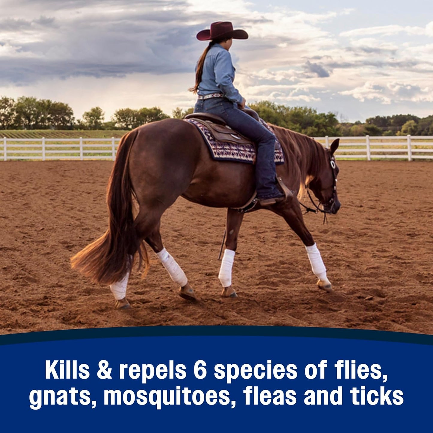 Repel-X Ready-To-Use Fly Spray, Insecticide and Repellent for Horses and Dogs, 32 Fluid Ounces, 1 Quart Bottle with Trigger Sprayer
