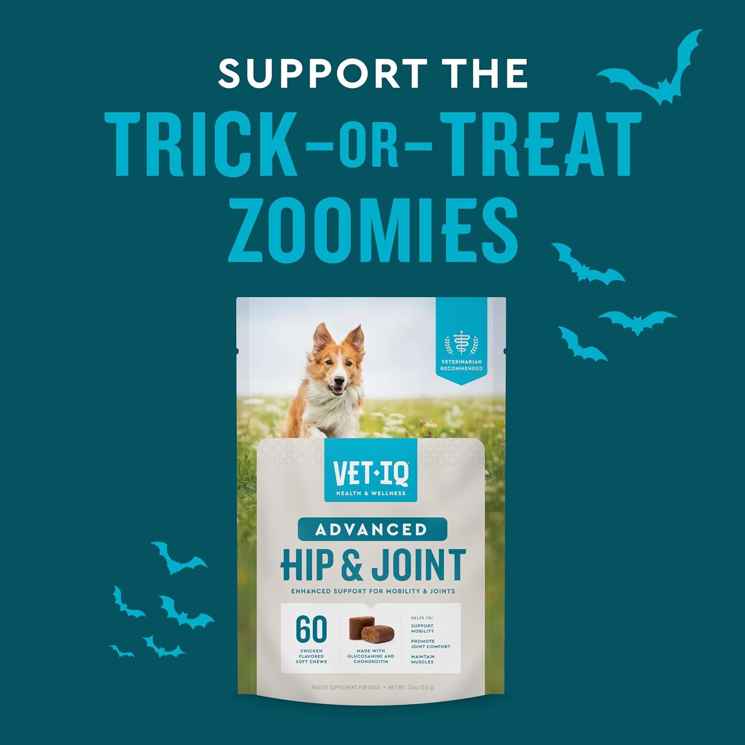 Advanced Hip & Joint Chews for Dogs, 60 Count, Chicken Flavored Supplements Made with Glucosamine, Omega 3’S, Chondroitin, MSM & Green Lipped Mussel, Increases Mobility & Maintains Muscles