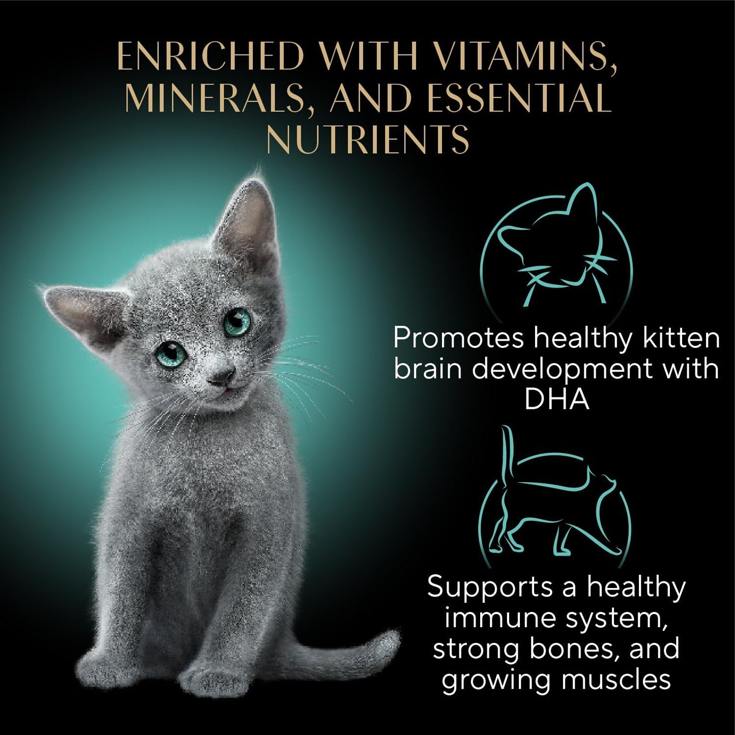 Perfect Portions Kitten Wet Cat Food Pate Chicken Entree, Salmon Entree, and Turkey Entree, 2.6 Oz. Twin-Pack Trays (24 Count, 48 Servings)