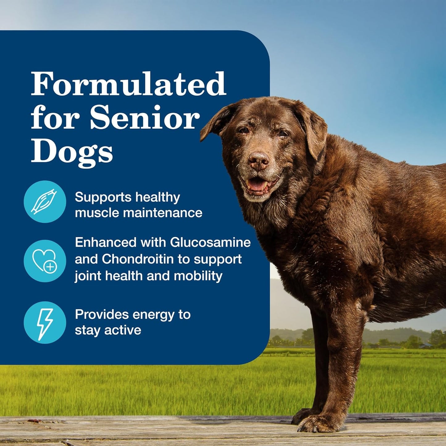 Homestyle Recipe Senior Wet Dog Food, Made with Natural Ingredients, Chicken Dinner with Garden Vegetables, 12.5-Oz Cans (12 Count)