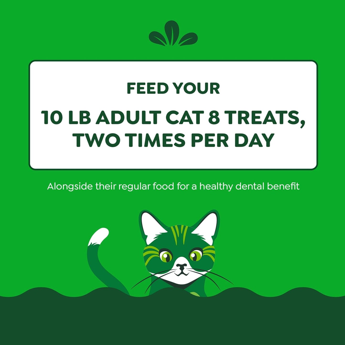 Feline Adult Dental Cat Treats, Catnip Flavor, 9.75 Oz. Tub
