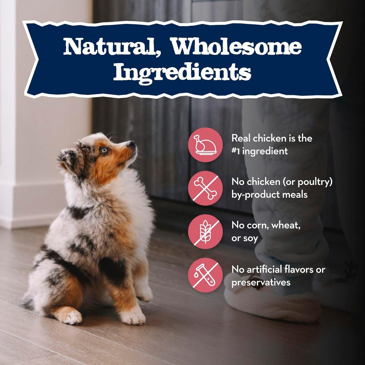 Baby BLUE Natural Small Breed Puppy Dry Dog Food, Healthy Growth Formula with DHA, Chicken and Oatmeal Recipe, 4-Lb. Bag