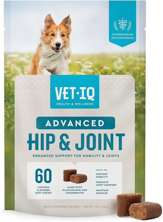 Advanced Hip & Joint Chews for Dogs, 60 Count, Chicken Flavored Supplements Made with Glucosamine, Omega 3’S, Chondroitin, MSM & Green Lipped Mussel, Increases Mobility & Maintains Muscles