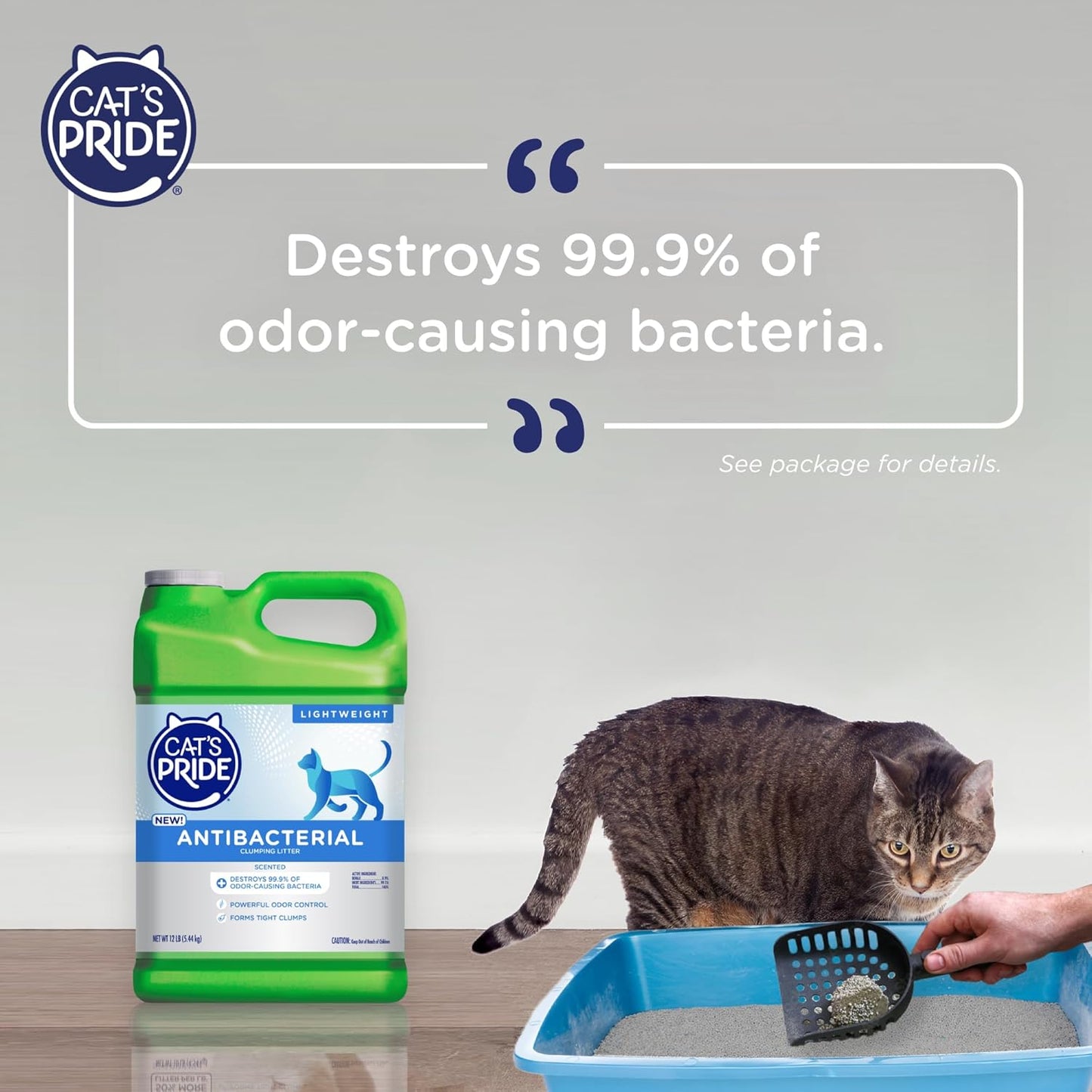 New Antibacterial Cat Litter: Destroys 99.9% of Odor-Causing Bacteria - Powerful Odor Control - Premium Lightweight Clumping Litter - Scented, 12 Pounds
