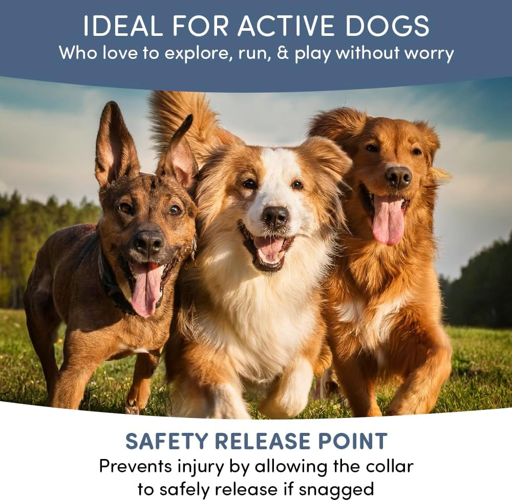 Natural Flea & Tick Collar for Dogs & Cats – 8 Months Protection – Essential Oils, Waterproof, Adjustable up to 27” – Chemical-Free, Safe for Puppies, Kittens & Sensitive Pets