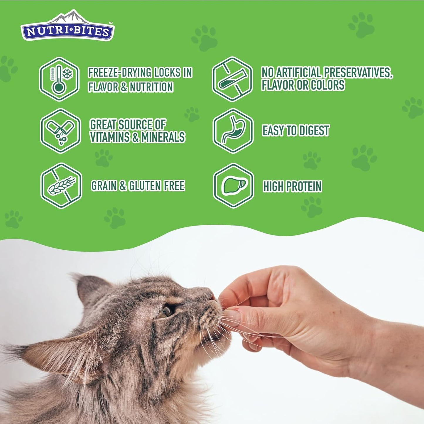 Freeze Dried Beef Liver Dog & Cat Treats | Healthy Pet Training Treats or Food Topper | All Natural, Single Ingredient, High Protein | Premium Bulk Value Pack, 17.6 Oz