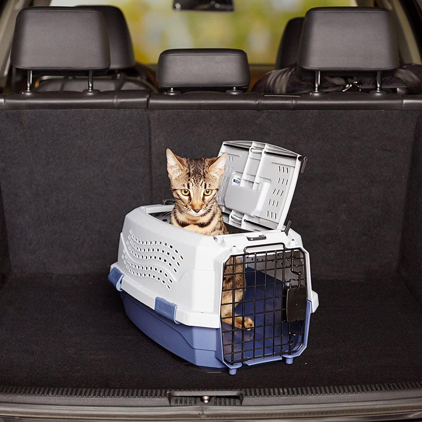 2-Door Top-Load Hard-Sided Cat Pet Travel Carrier, 19.0" L X 12.6" W X 10.0" H, Gray & Blue