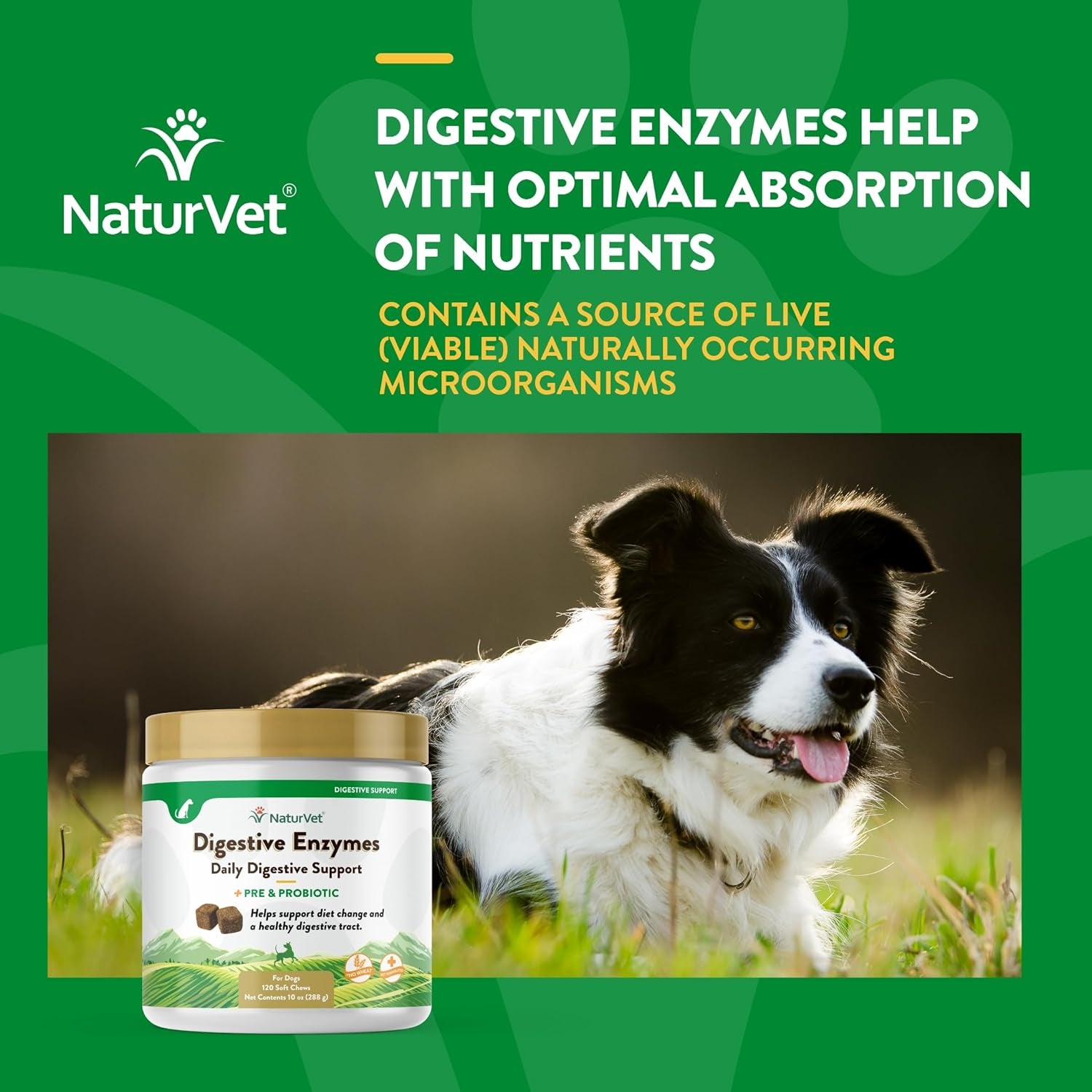 – Digestive Enzymes - plus Probiotics & Prebiotics – Helps Support Diet Change & a Healthy Digestive Tract – for Dogs & Cats (Soft Chews, 120 Count)