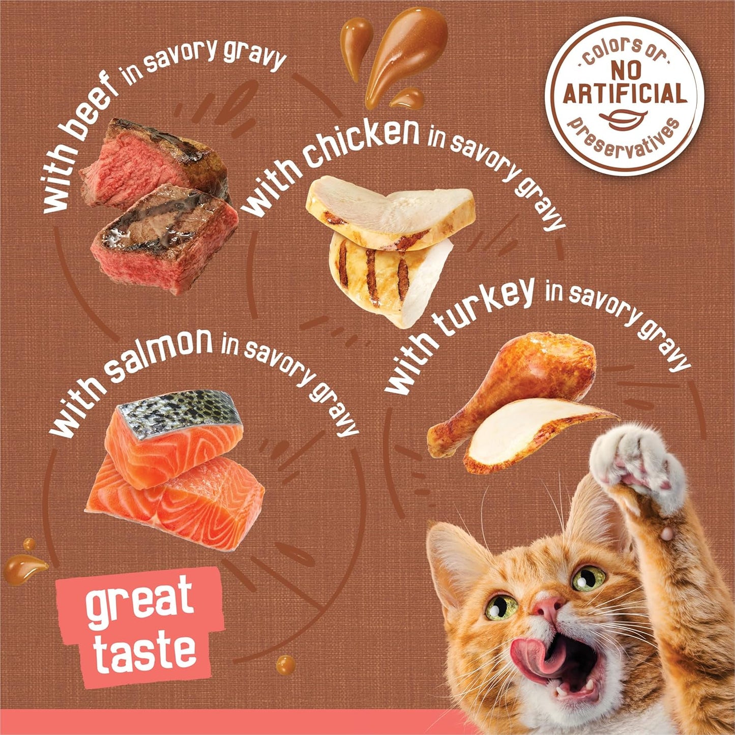 Purina Extra Gravy Wet Cat Food Chunky 24Ct Variety Pack (With Chicken, Turkey, Salmon, Beef) - (Pack of 24) 5.5 Oz. Cans