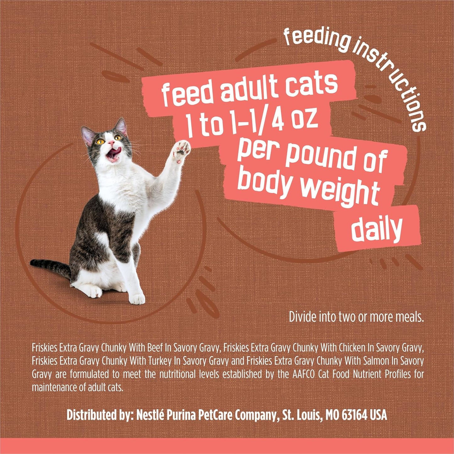 Purina Extra Gravy Wet Cat Food Chunky 24Ct Variety Pack (With Chicken, Turkey, Salmon, Beef) - (Pack of 24) 5.5 Oz. Cans
