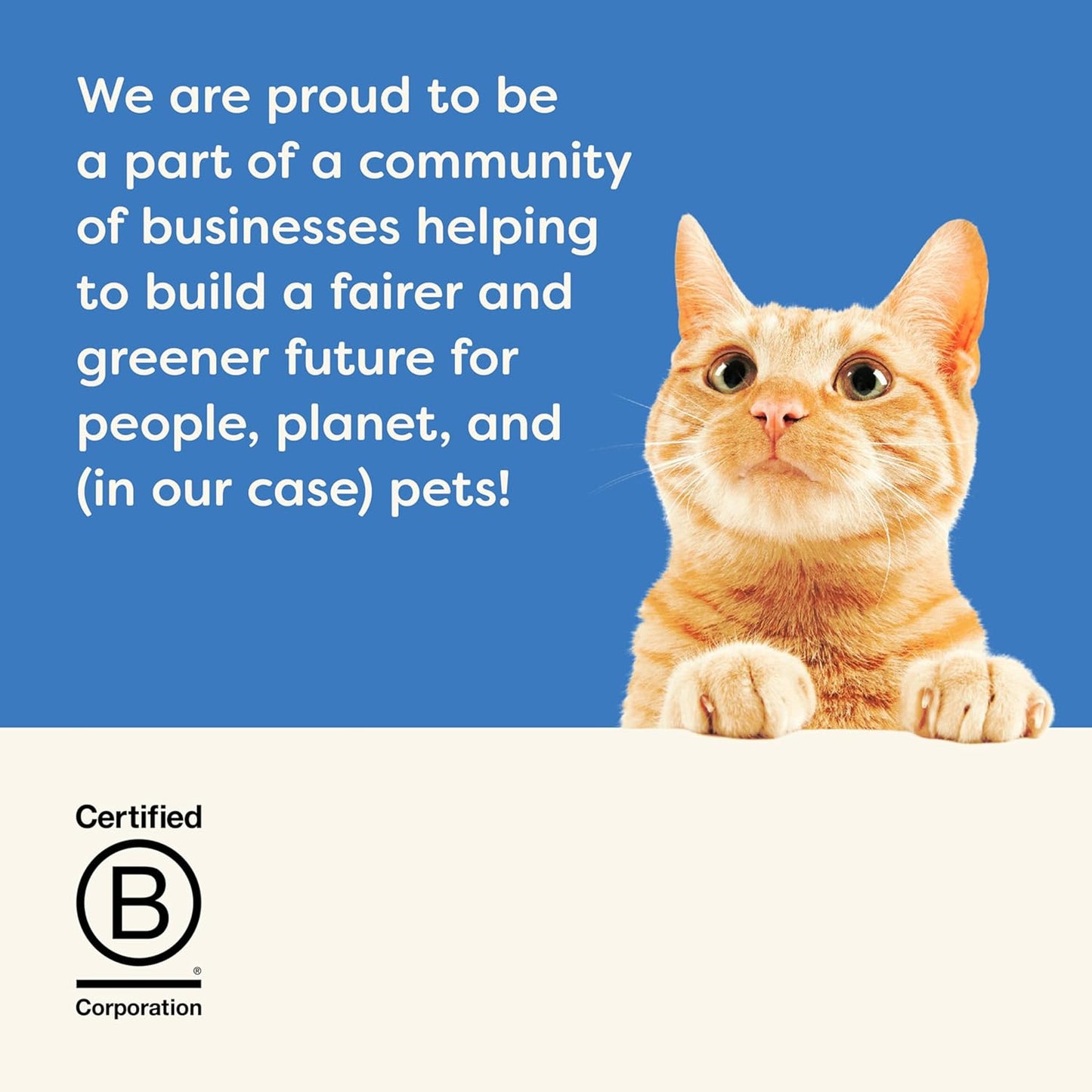 Natural Wet Canned Cat Food, Limited and Natural Ingredients, High Protein with No Artificial Additives, Fish Selection Variety Pack in Broth (12 X 2.47Oz Cans)