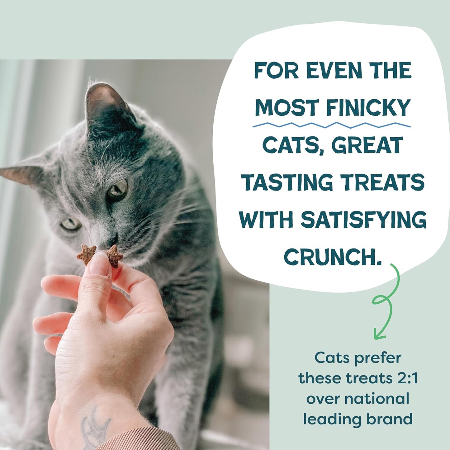 Digestive Health Catnip Chicken Crunchy Cat Treats
