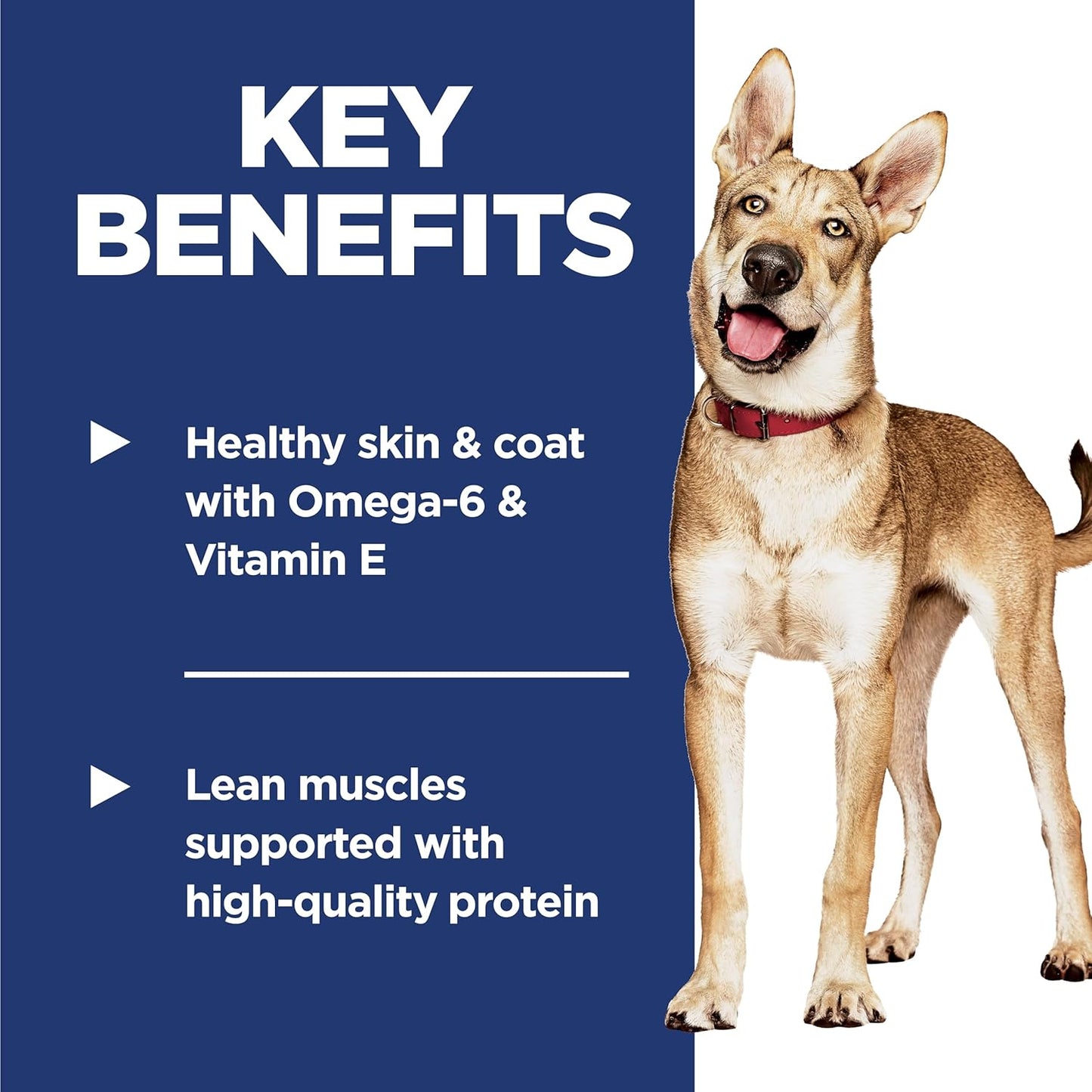 Adult 1-6, Adult 1-6 Premium Nutrition, Dry Dog Food, Salmon & Brown Rice, 14 Lb Bag