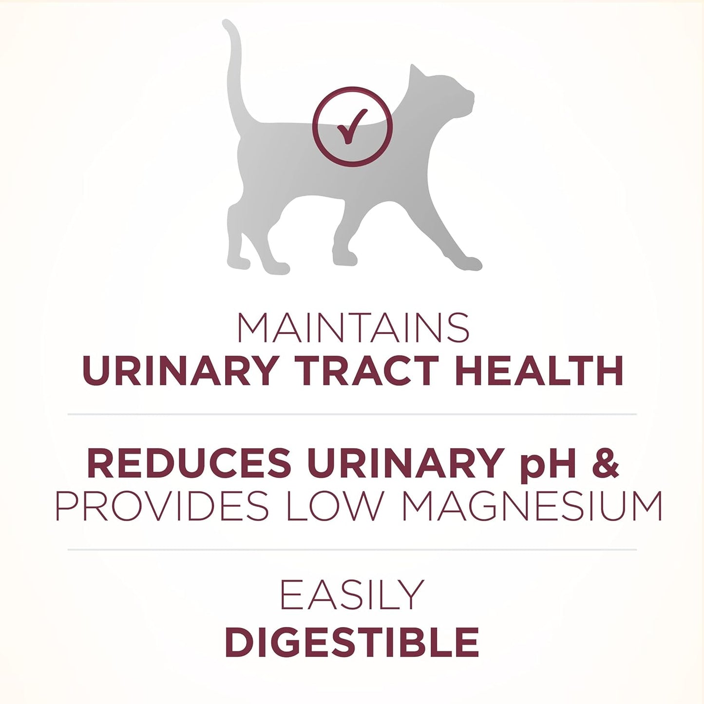 High Protein Dry Cat Food, +Plus Urinary Tract Health Formula - 16 Lb. Bag