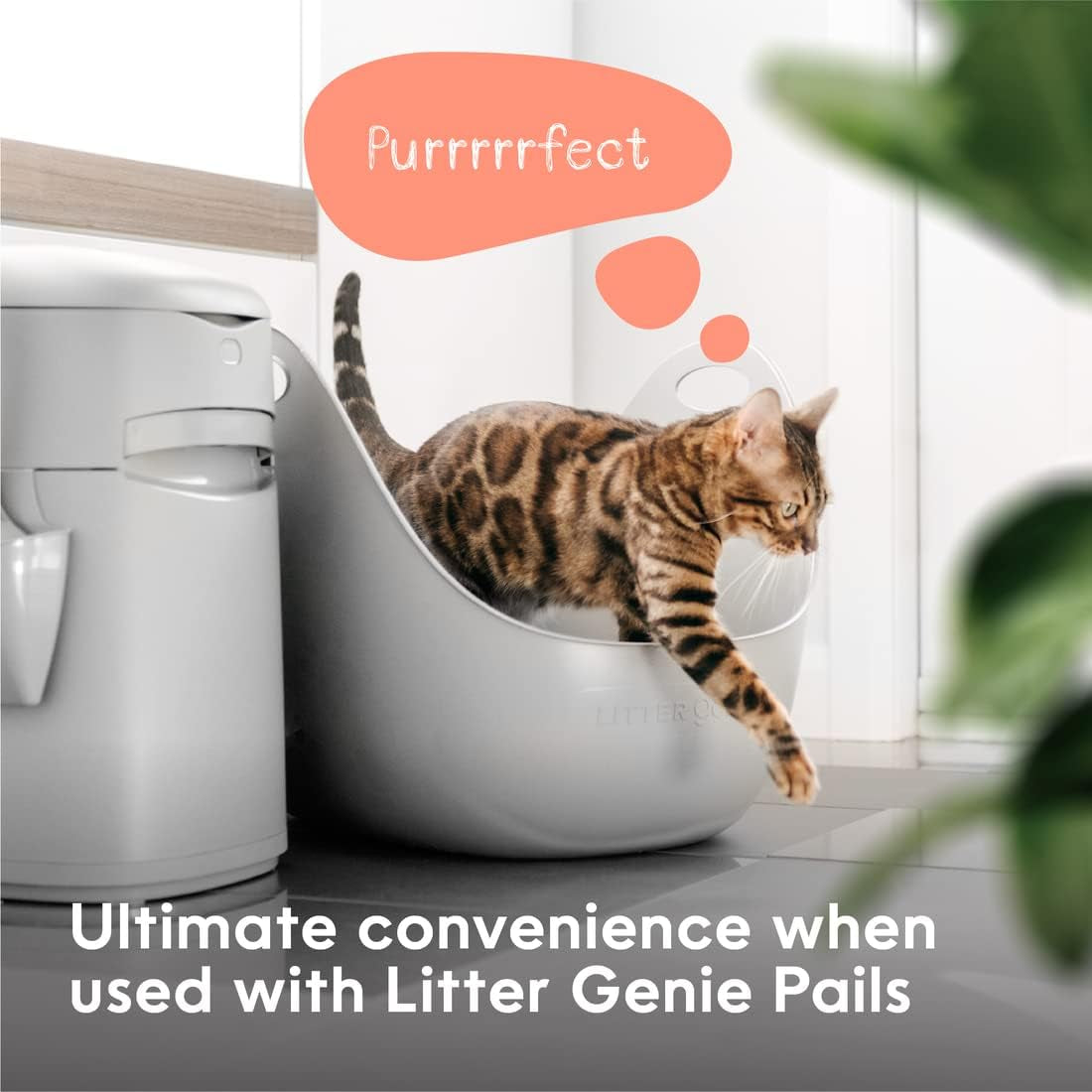 Cat Litter Box | Made with Flexible, Soft Plastic | Features High-Walls and Handles for Privacy and Portability