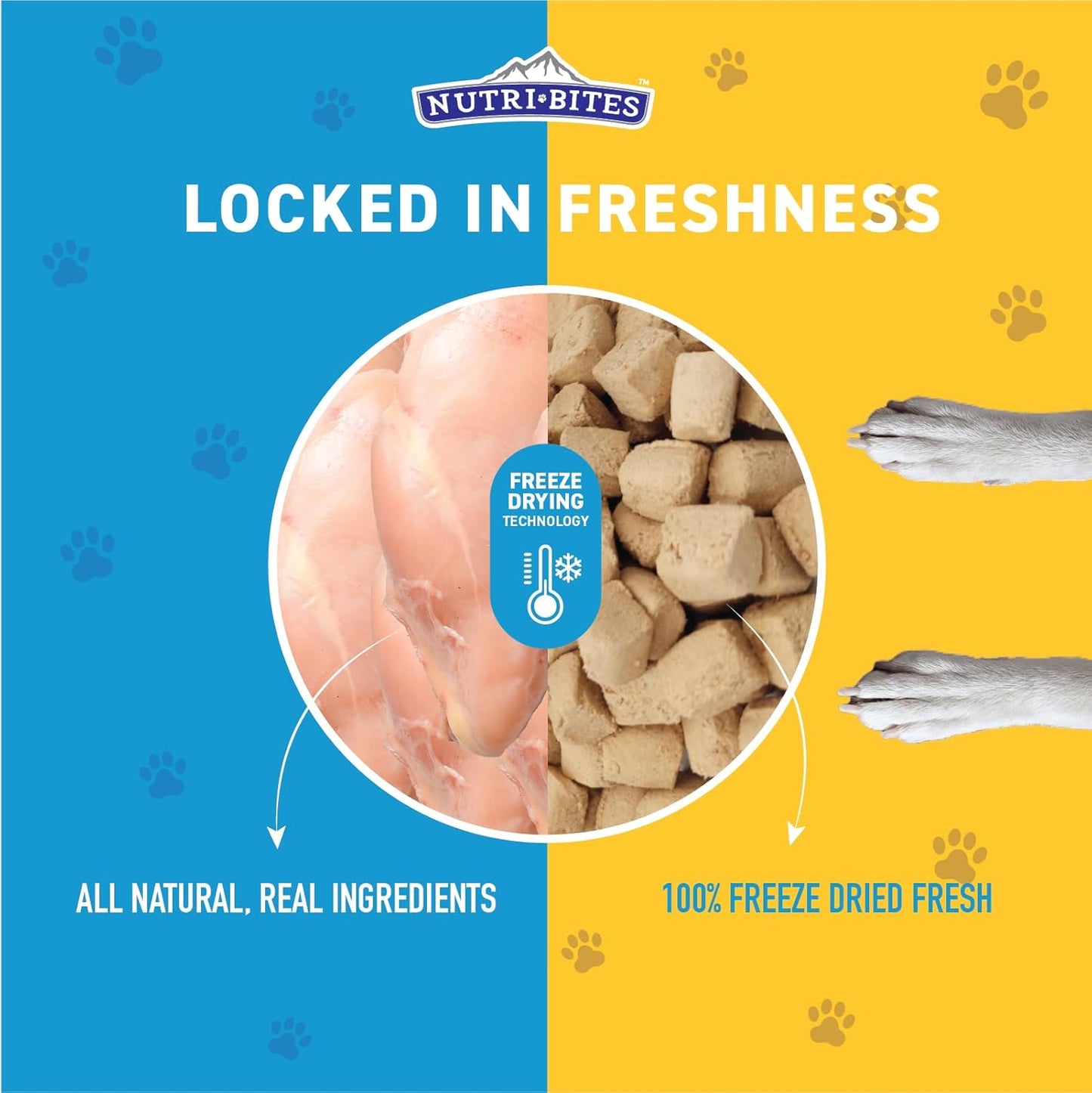 Freeze Dried Chicken Dog & Cat Treats | Healthy Pet Training Treats or Food Topper | All Natural, 1 Single Animal Protein, High Protein | Premium Bulk Value Pack, 15 Oz