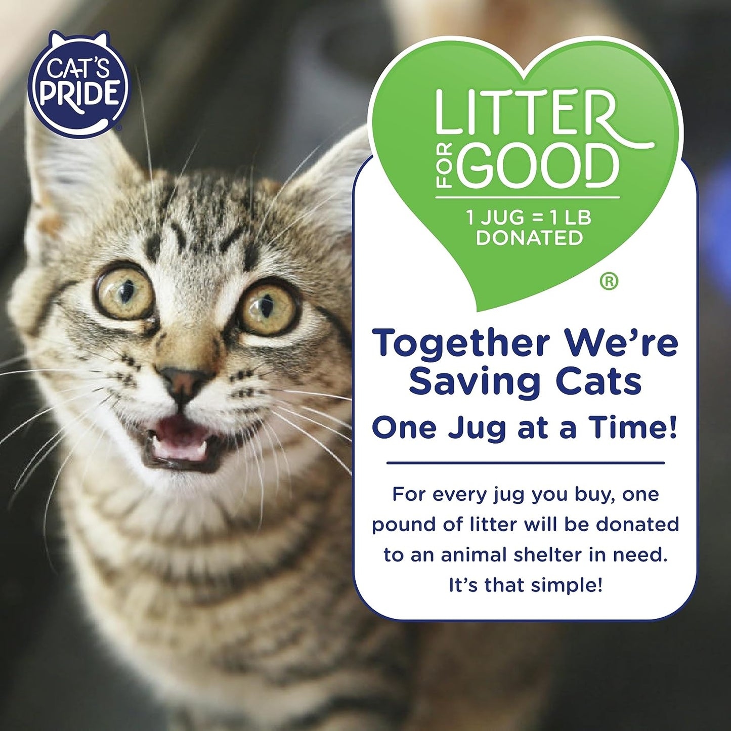 New Antibacterial Cat Litter: Destroys 99.9% of Odor-Causing Bacteria - Powerful Odor Control - Premium Lightweight Clumping Litter - Scented, 12 Pounds