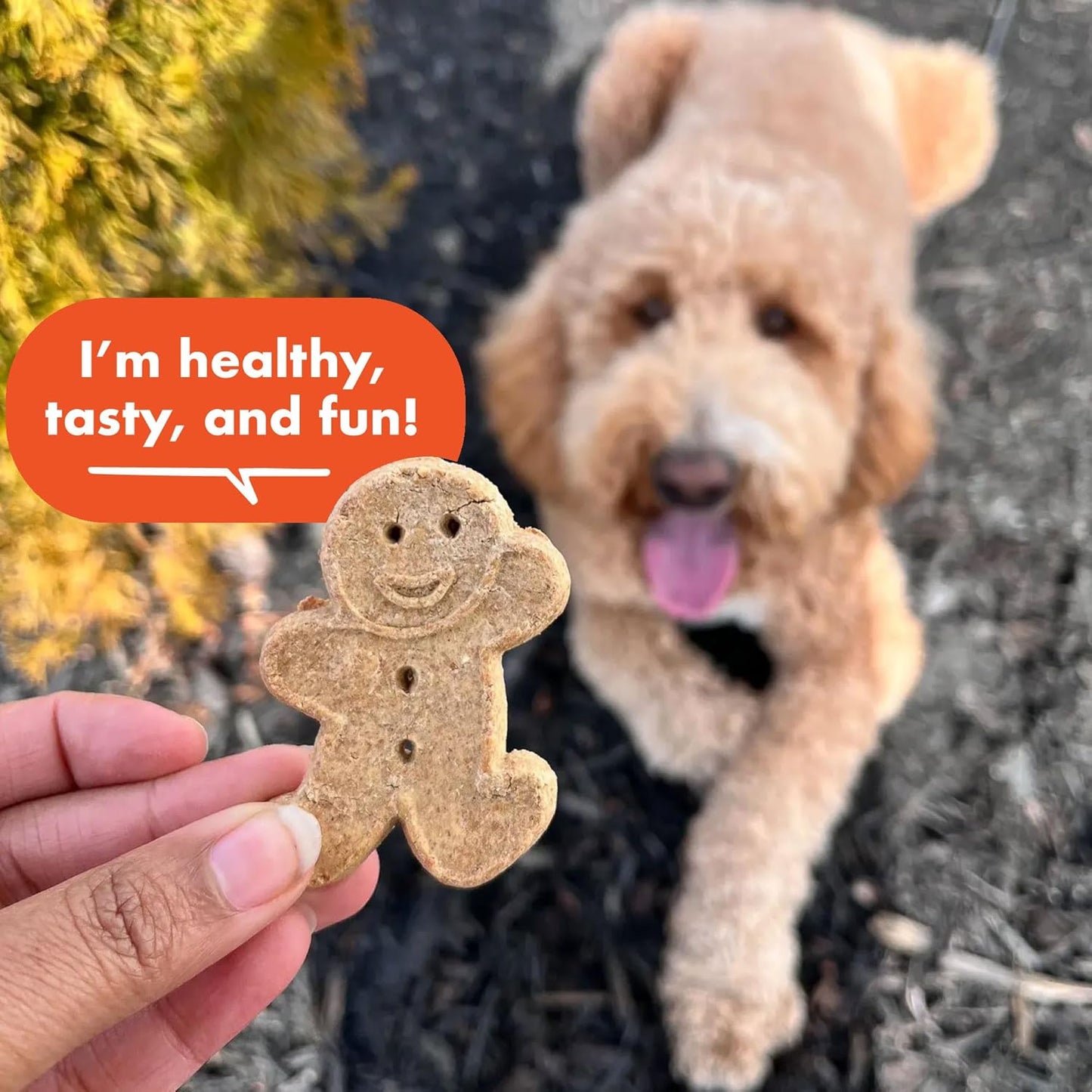 14 Oz. Box of Grain-Free Crunchy Dog Treats Made with Natural Peanut Butter