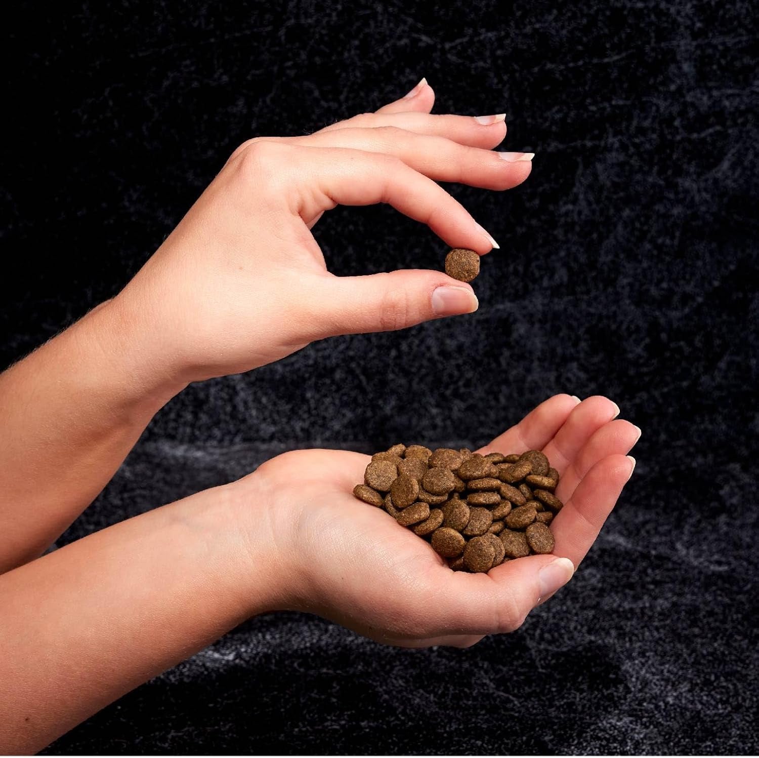 Grain Free Adult High Protein Natural Dry Cat Food with Protein from Chicken, 10 Lb. Bag