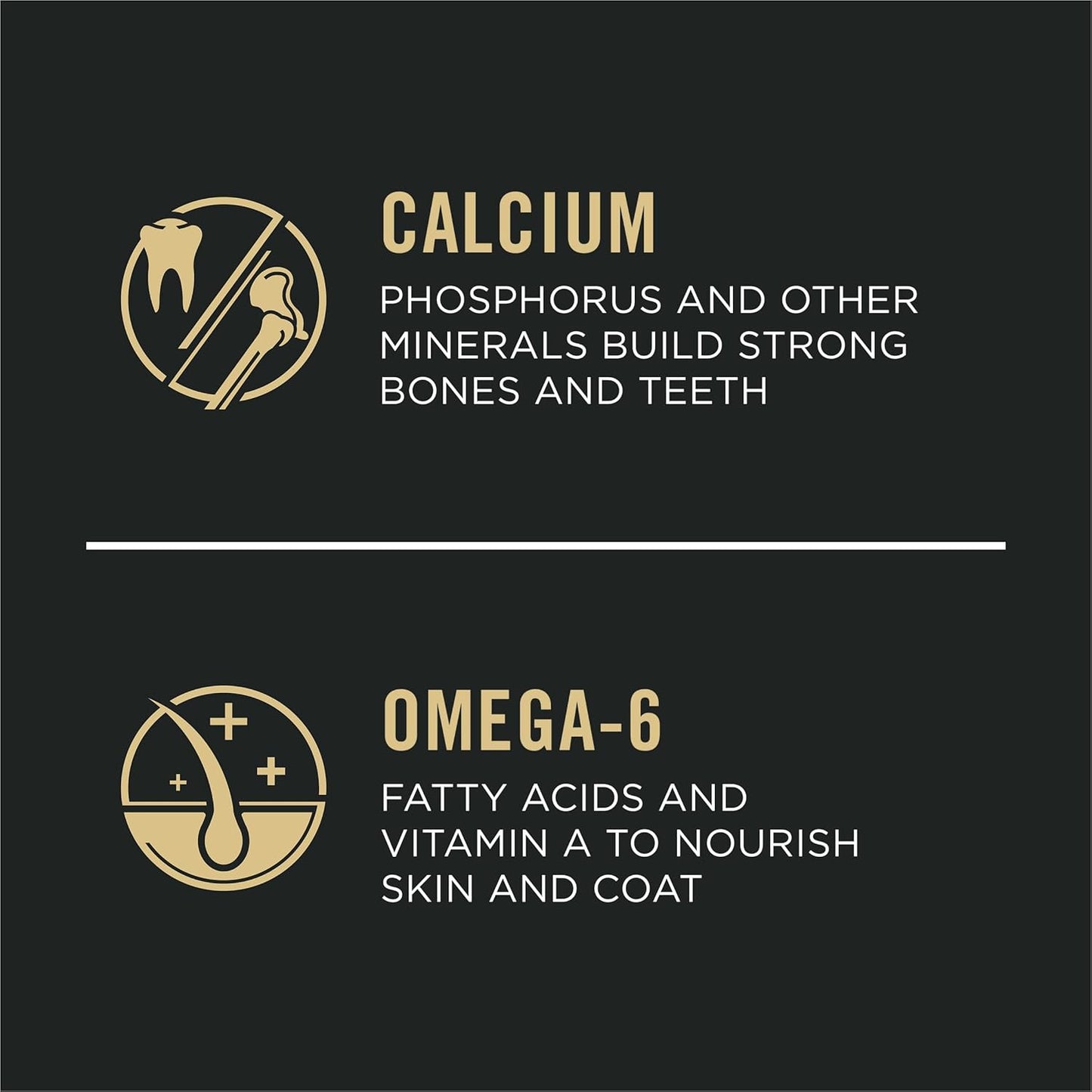 High Protein Puppy Food DHA Lamb & Rice Formula - 18 Lb. Bag