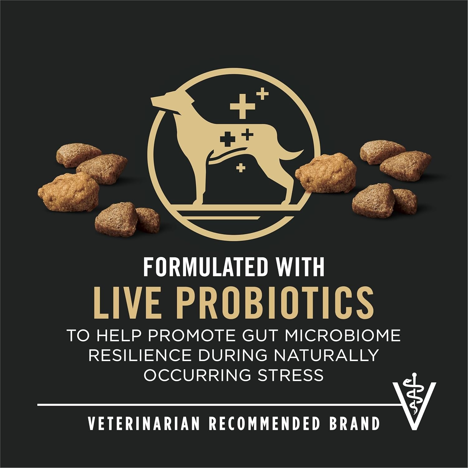 Complete Essentials Shredded Blend Salmon and Rice Dog Food Dry Formula with Probiotics for Dogs - 15 Lb. Bag