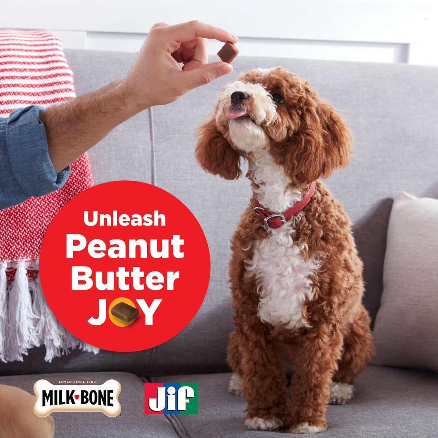 Peanut Buttery Bites Soft Dog Treats with Jif Peanut Butter, 11.8 Ounce Bag