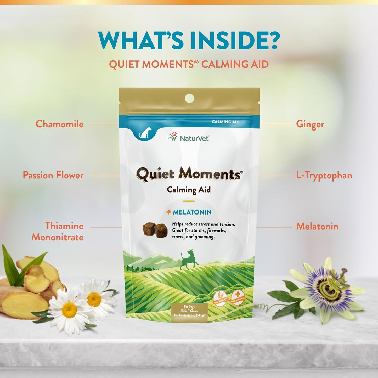 Quiet Moments Calming Dog Supplement, Dog Soft Chews with Melatonin to Help Reduce Stress from Storms, the Vet, Fireworks, and Travel, Bacon and Chicken Flavored Pet Supplement, 65 Count