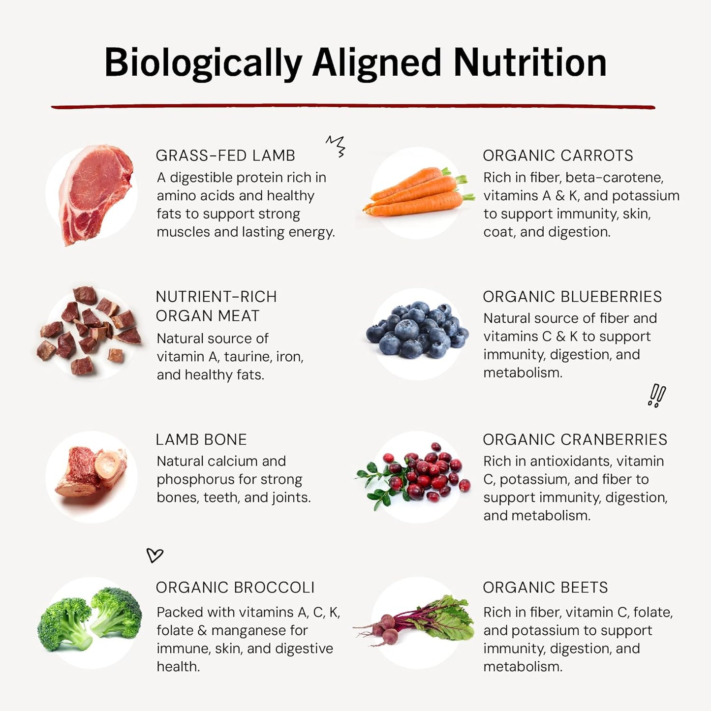 Freeze-Dried Raw Dinner Patties - Dandy Lamb Recipe - High Protein Grain-Free Puppy & Dog Food - Perfect for Picky Eaters - 14 Oz