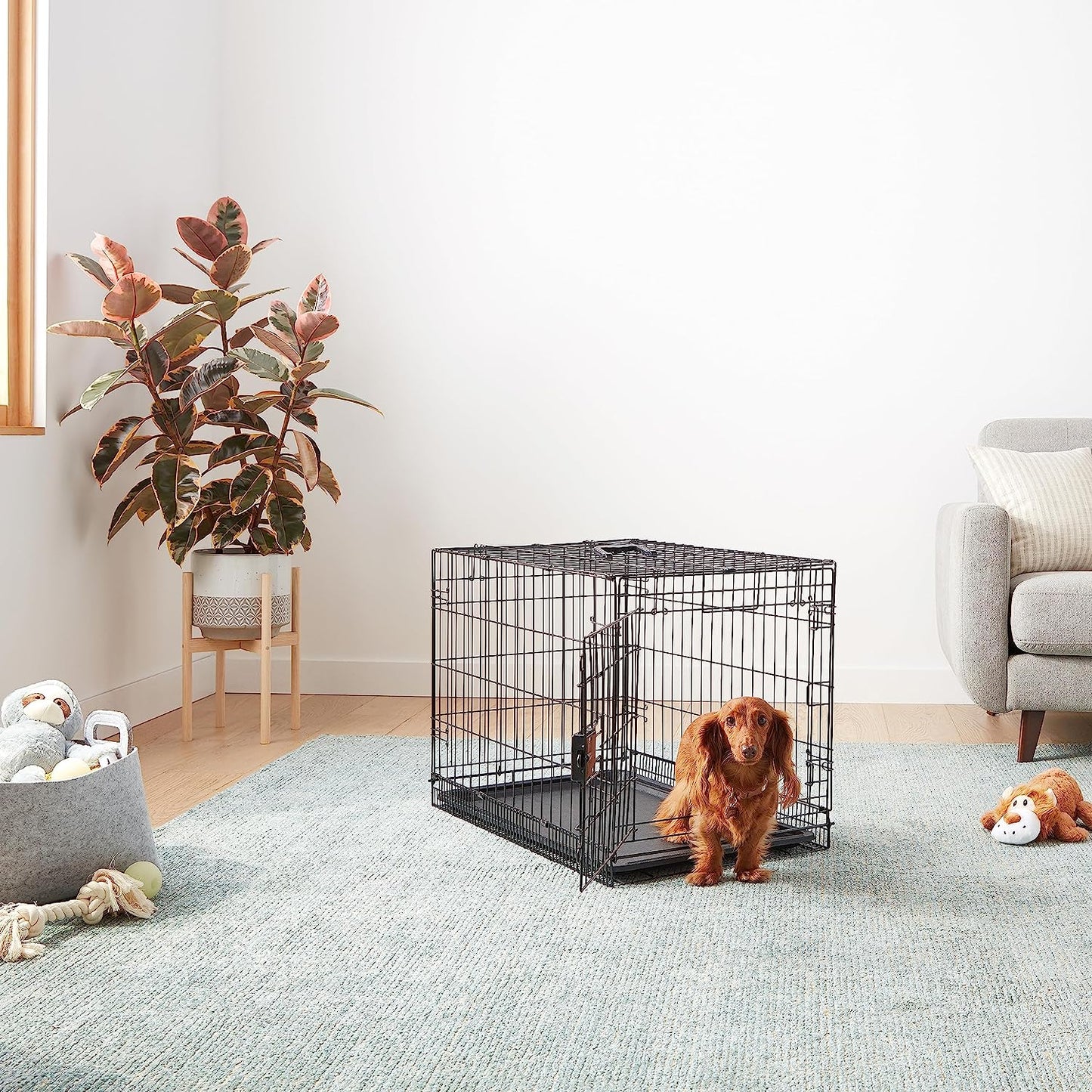Durable, Foldable Metal Wire Dog Crate with Tray, Single Door, 30 X 19 X 21 In, Black