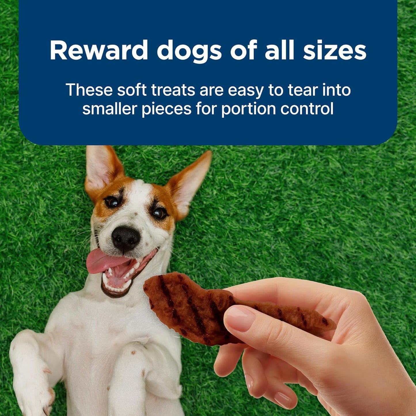 Nudges Grillers Natural Dog Treats, Beef, 16Oz