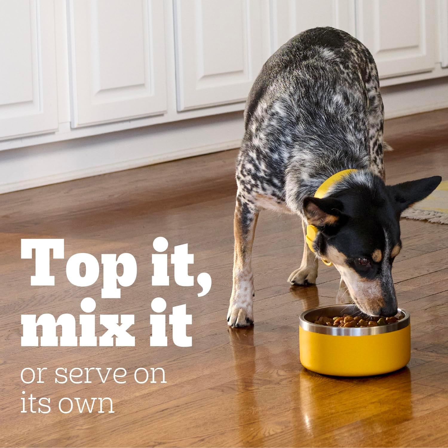 Chopped Ground Dinner Adult Canned Soft Wet Dog Food, Chicken & Rice Flavor, 13.2 Oz. Cans (12 Count, Pack of 1)