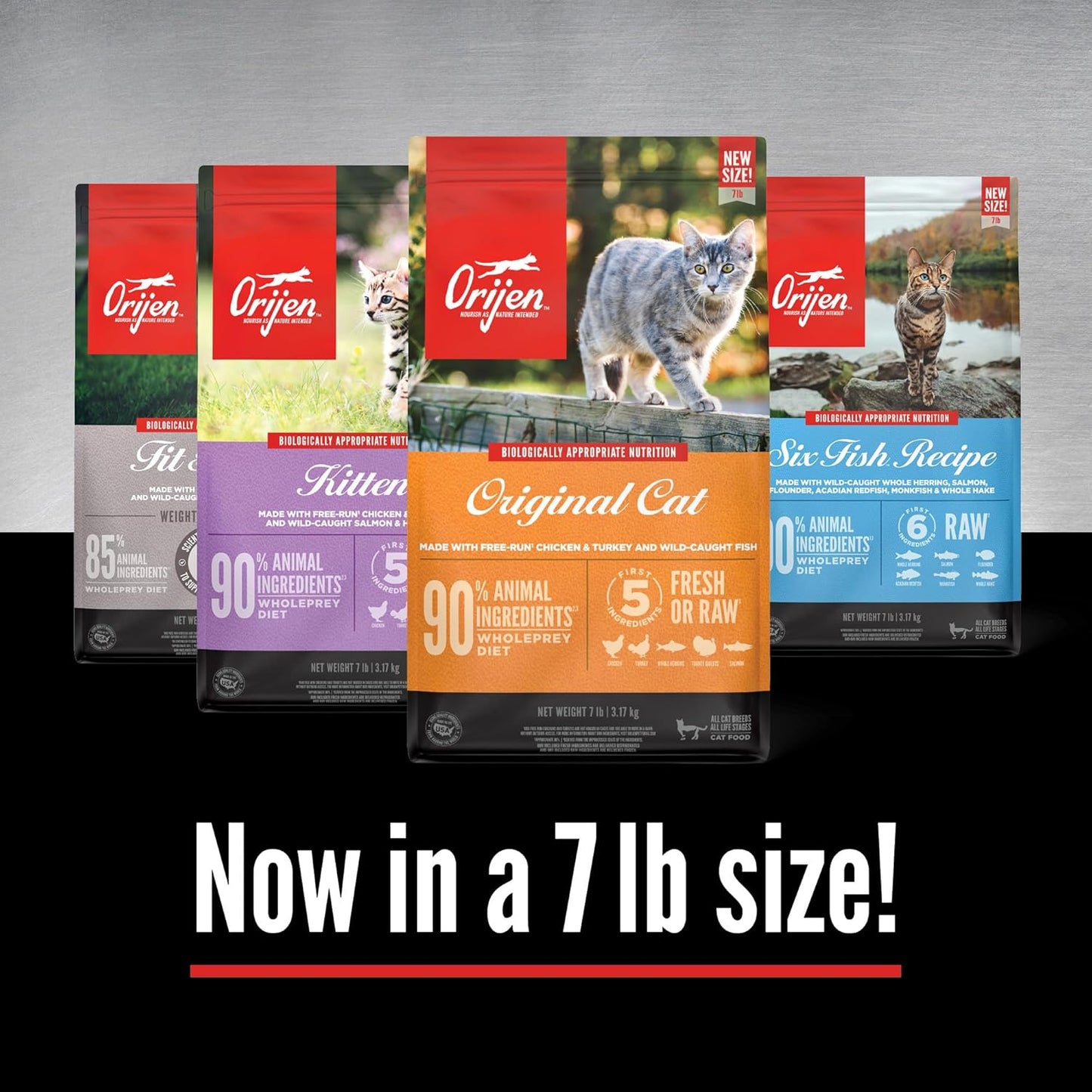 Grain Free High Protein Premium Dry Cat Food Original Recipe 7Lb Bag