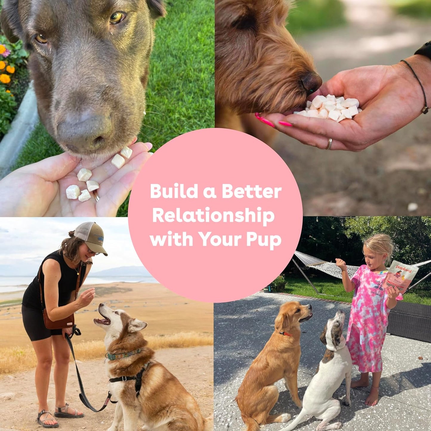 Freeze Dried Training Treats for Dogs & Puppies, 450+ One Ingredient Bites (Sweet Potato, 4 Oz)