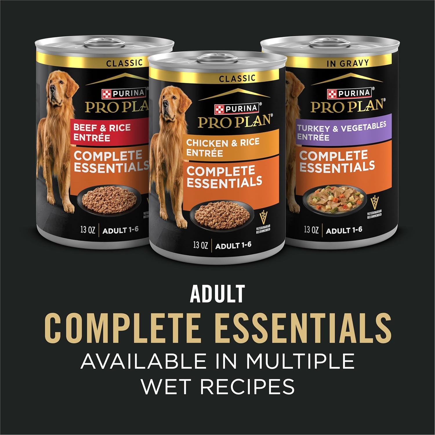 Complete Essentials Shredded Blend Salmon and Rice Dog Food Dry Formula with Probiotics for Dogs - 15 Lb. Bag