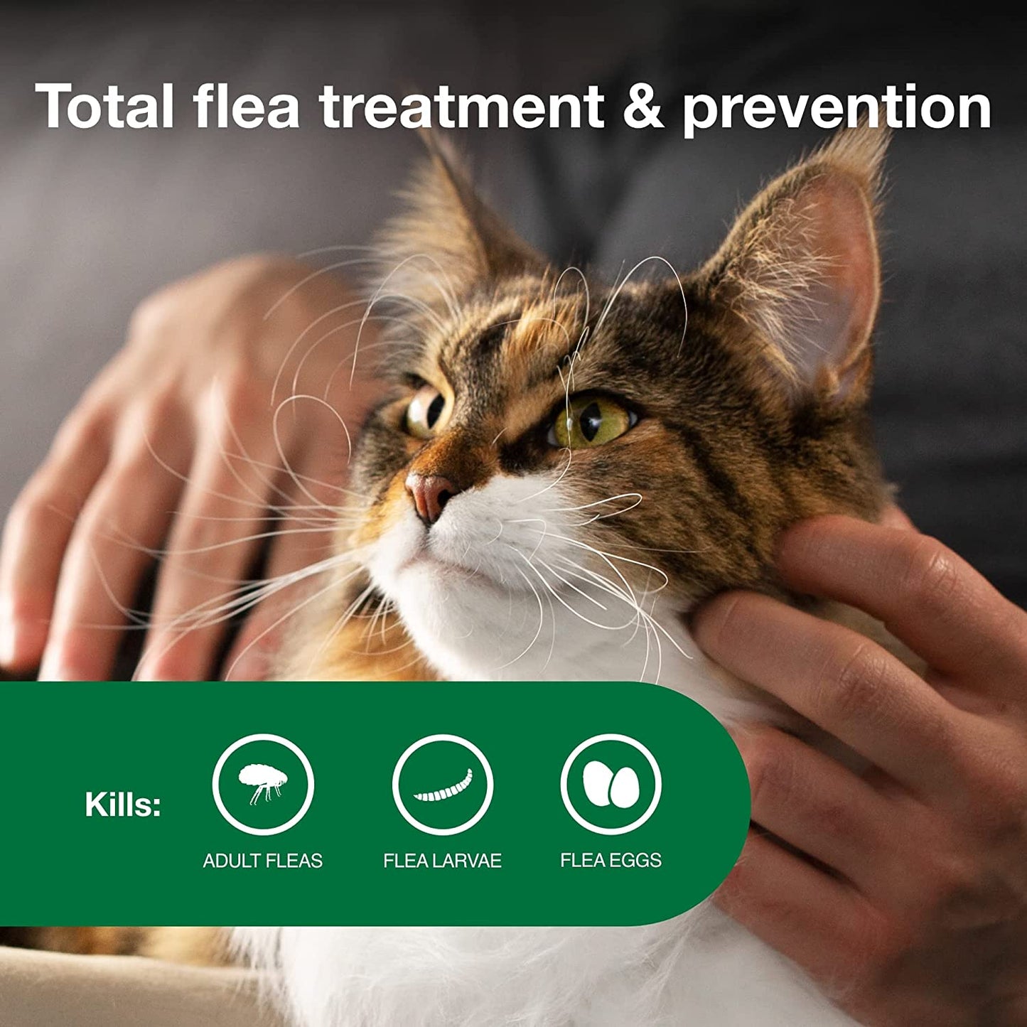 II Large Cat Vet-Recommended Flea Treatment & Prevention | Cats over 9 Lbs. | 1-Month Supply