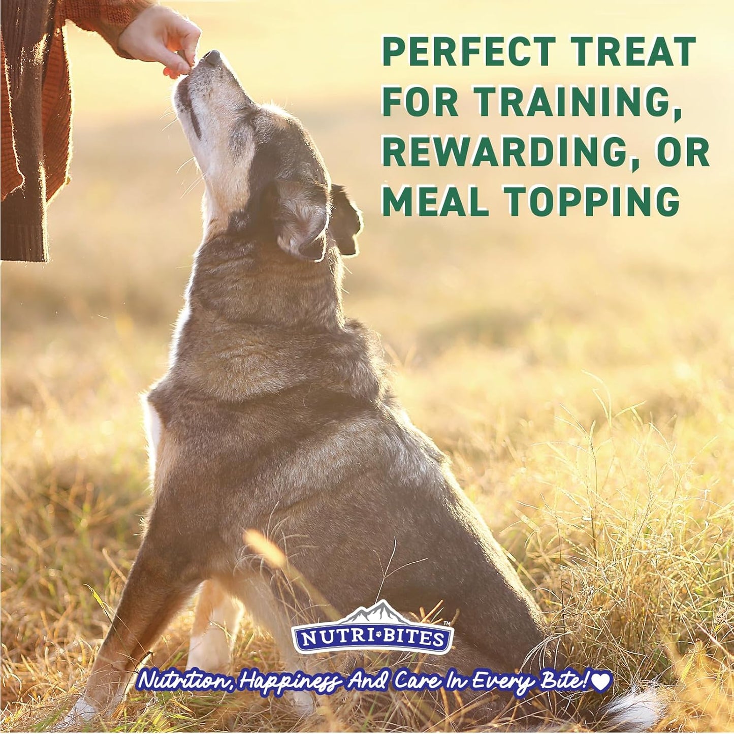Freeze Dried Beef Liver Dog & Cat Treats | Healthy Pet Training Treats or Food Topper | All Natural, Single Ingredient, High Protein | Premium Bulk Value Pack, 17.6 Oz