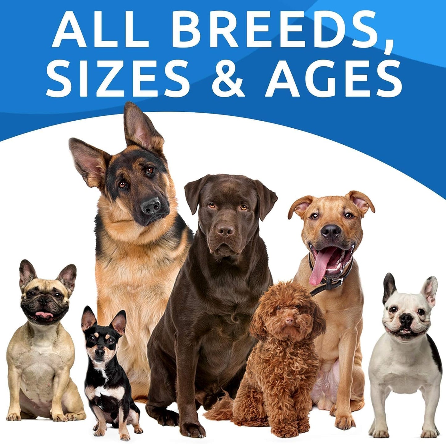 Dog Allergy Relief Chews (180 Immune Treats) - Anti-Itch Skin & Coat Supplement - Omega 3 Fish Oil - Dry & Itchy Skin Relief Treatment Pills - Itching, Paw Licking & Hot Spots