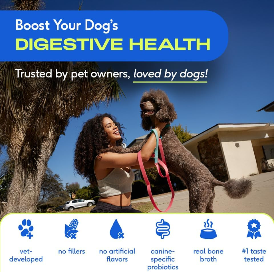 Probiotics for Dogs - Dog Probiotics Powder for Digestive Health, Gut Support, & Immune Boost – Vet-Formulated Powder for Maximum Potency with Digestive Enzymes & Prebiotics - 60 Scoops