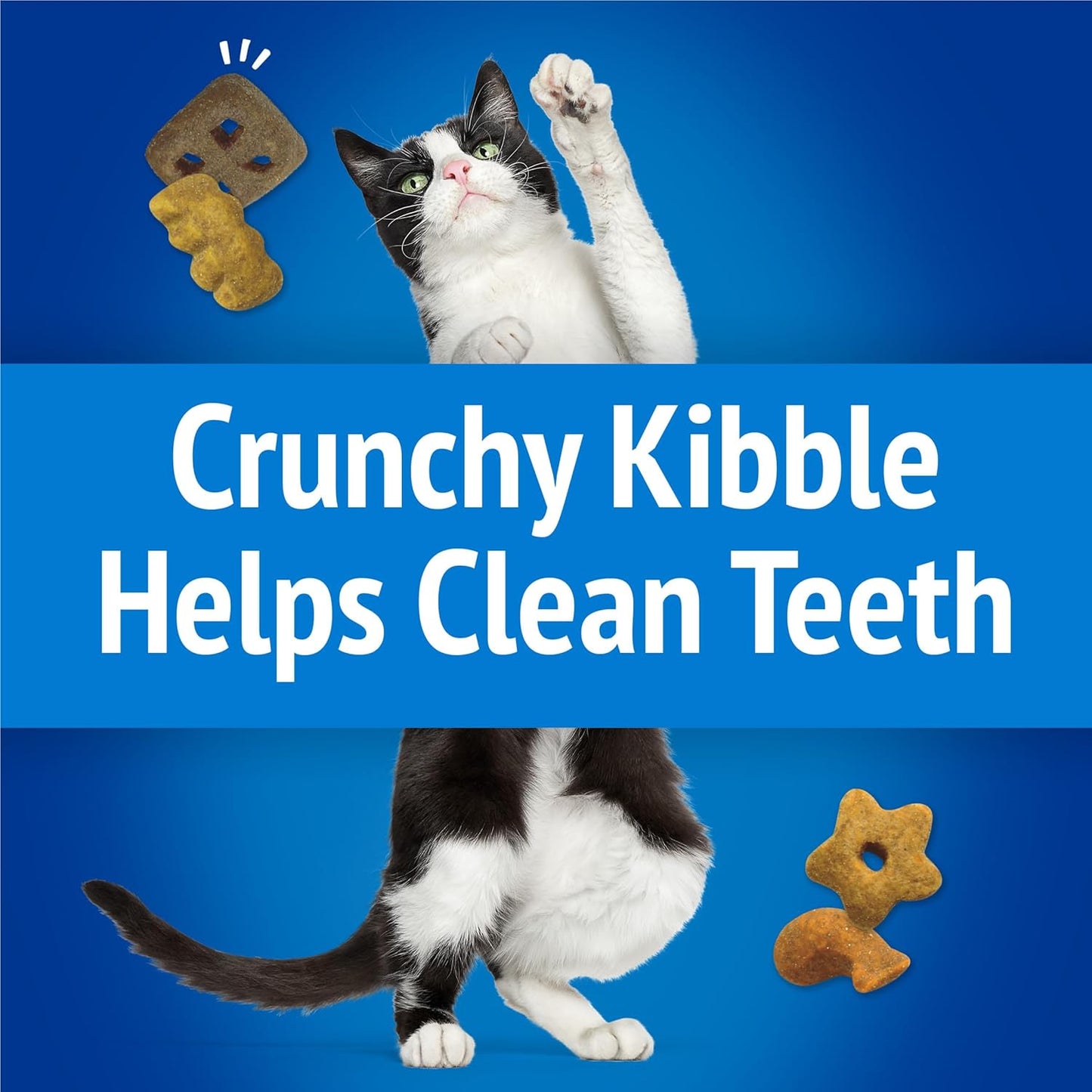 Purina Cat Treats, Party Mix Beachside Crunch - 30 Oz. Pouch